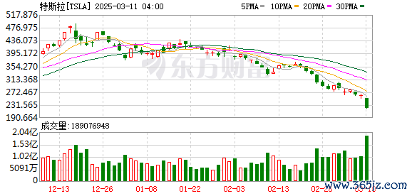 K图 TSLA_0