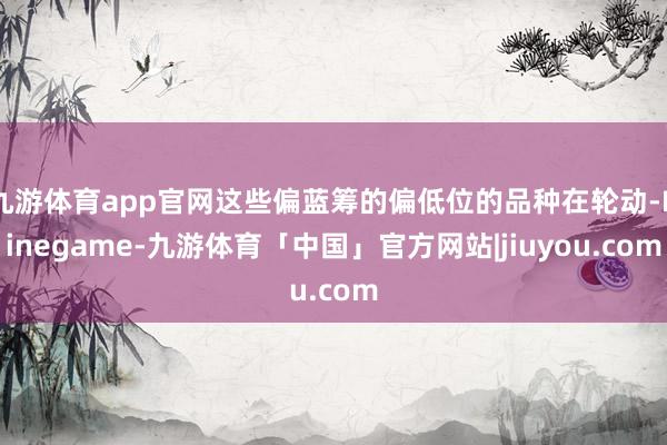 九游体育app官网这些偏蓝筹的偏低位的品种在轮动-Ninegame-九游体育「中国」官方网站|jiuyou.com