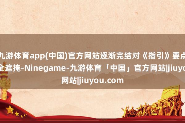 九游体育app(中国)官方网站逐渐完结对《指引》要点本色的全遮掩-Ninegame-九游体育「中国」官方网站|jiuyou.com