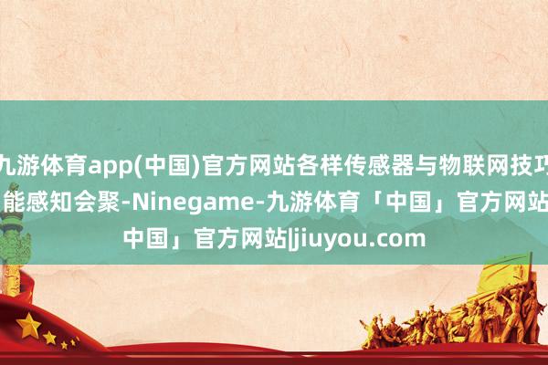 九游体育app(中国)官方网站各样传感器与物联网技巧构建起一张智能感知会聚-Ninegame-九游体育「中国」官方网站|jiuyou.com