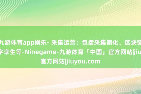 九游体育app娱乐- 采集运营:包括采集简化、区块链劳动、数字孪生等-Ninegame-九游体育「中国」官方网站|jiuyou.com