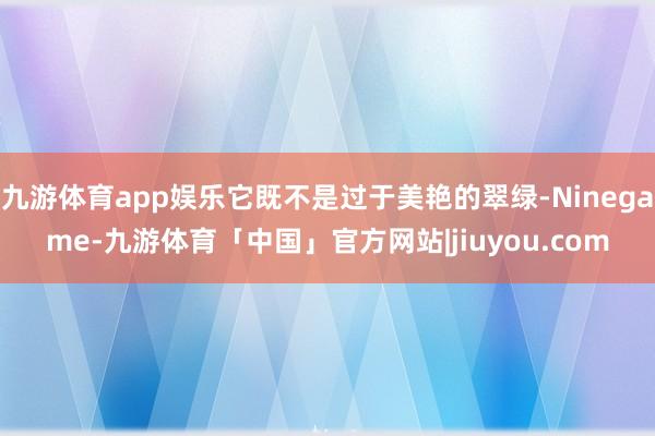 九游体育app娱乐它既不是过于美艳的翠绿-Ninegame-九游体育「中国」官方网站|jiuyou.com